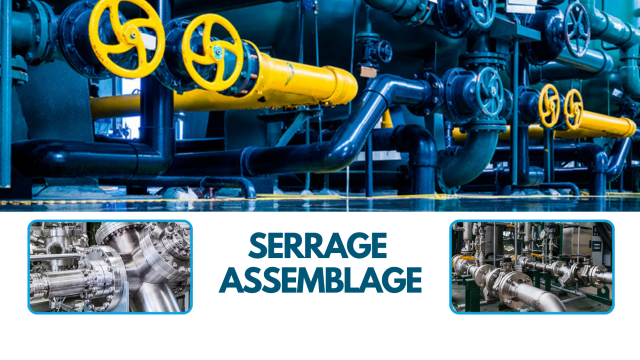 SERRAGE ASSEMBLAGE.png